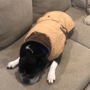 Reversible L.L. Bean Dog Jacket